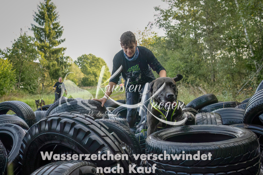 1027_ZZ94395-Bearbeitet | kk-dogfotos