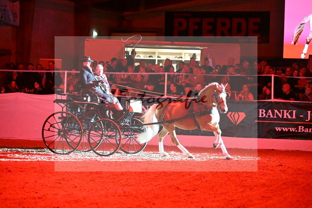 DSP Avici As_Karosser_Schwolow_2254865 | hf-fotografie - Realisiert mit Pictrs.com