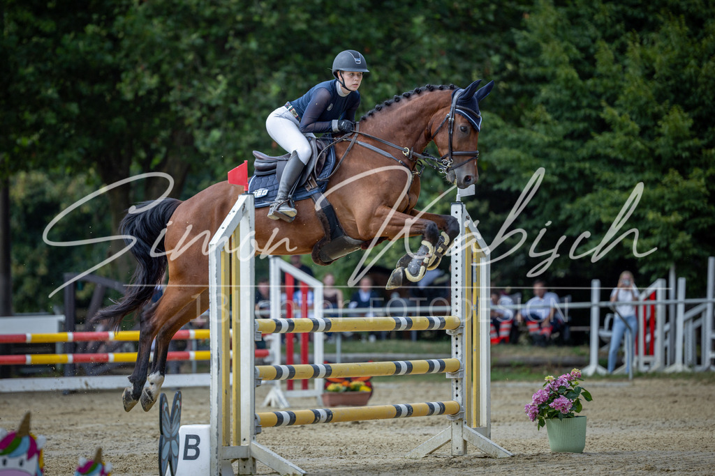 20260704-_3LI1343 | Tierfotografie Pferde, Hunde, Katzen, Haustiere.
Turnierfotografie Reitturniere, Reiten, Springreiten, Dressur in Hanau, dem Main-Kinzig-Kreis und dem Rhein-Main- Gebiet um Frankfurt