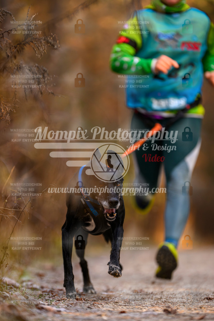 MompixPhotography_DM_AKDM_SO_2025_-68 | PayLife