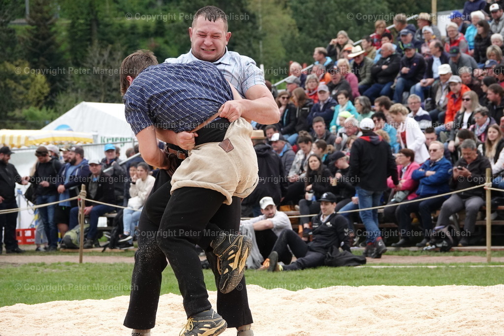 DSC03346 | Schwingen - Realisiert mit Pictrs.com