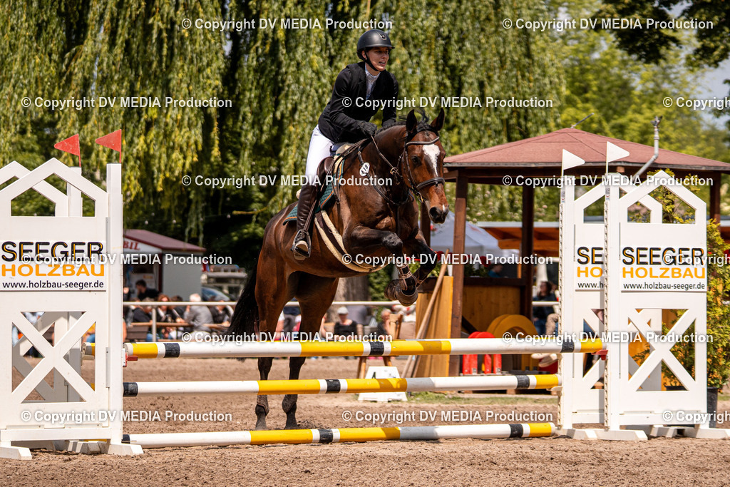 Eppelheim Tag 3-489 | dv-media-shop - Realisiert mit Pictrs.com