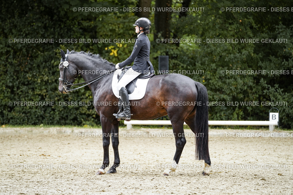 DSC01190 | Pferdegrafie