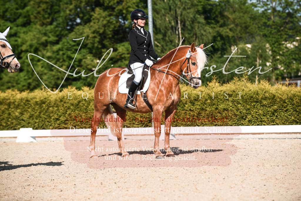 20230518_JK-Röhrsdorf-12-0966 | Pferde- und Turnierfotografie in Westsachsen. Pferdeportraits, Auftragszeichnungen und intuitive Kunst.