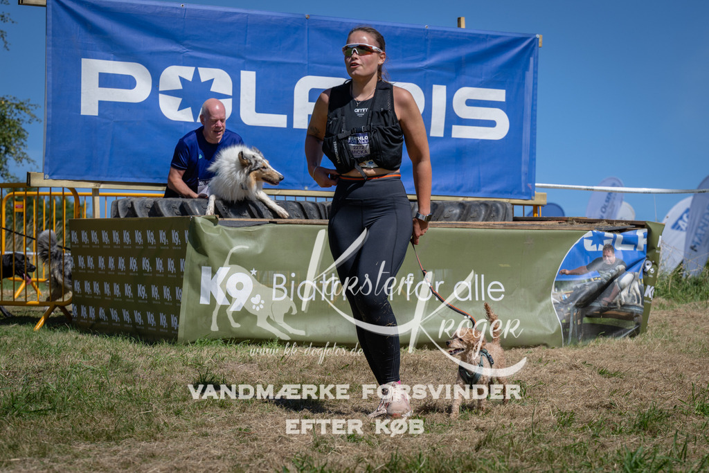 1255_ZZ97486 | kk-dogfotos