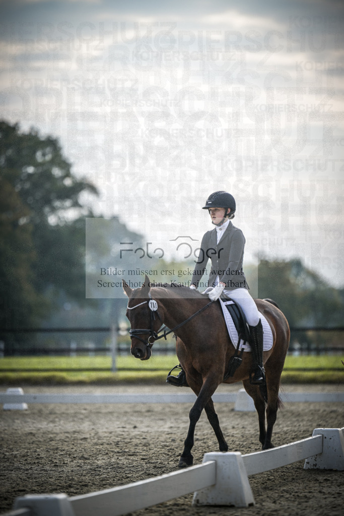 DOS_B135 | Entdecke hochwertige Reitturnierfotos von Foto Oger. Professionell, emotional und authentisch – jetzt Lieblingsmomente im Shop bestellen.Deutschlandweite Turnierfotografie. - Realisiert mit Pictrs.com