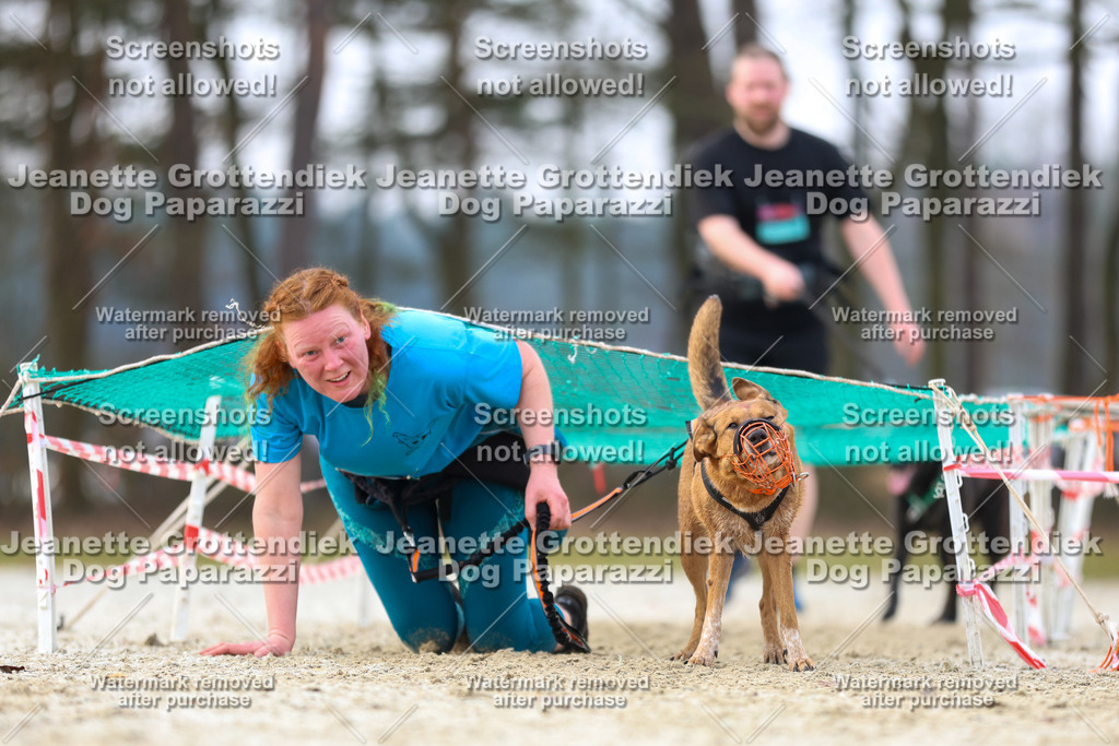 Dog Paparazzi - Strongdog North Mrz26-4054 | Dog Paparazzi Jeanette Grottendiek Fotografie & Videografie - Realisiert mit Pictrs.com