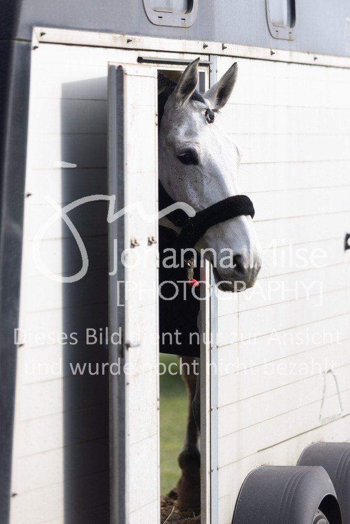 230318_Borgholzhausen_Impressionen-101 | Deine schönsten Turniermomente als professionelle Fotos! Entdecke hochwertige Pferdesport-Fotografie im Online-Shop. Jetzt Fotos finden & bestellen!