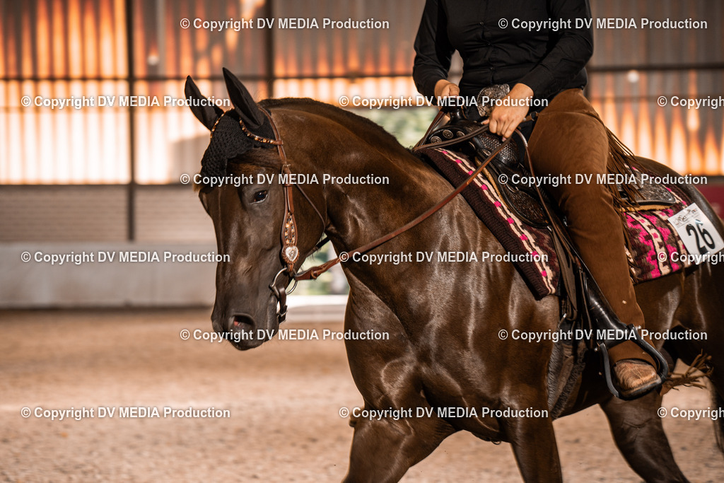 ZH100319 | dv-media-shop - Realisiert mit Pictrs.com