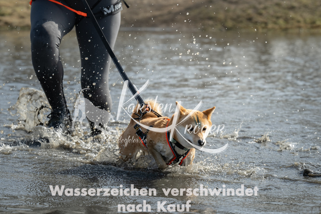 1216_ZZ98762 | kk-dogfotos