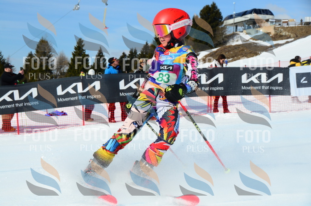 DSC_0530 | holidayphoto