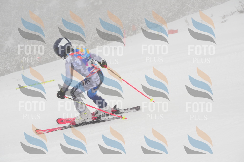 C0867 | holidayphoto