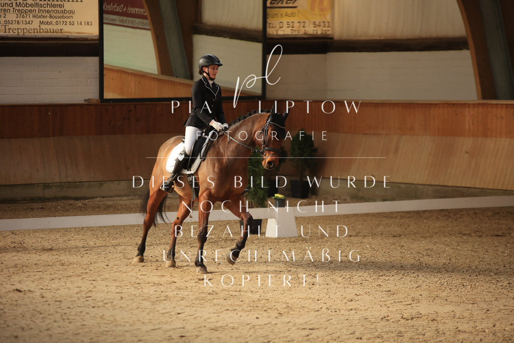 IMGT1407 | pl-fotografie