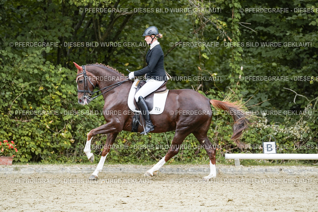 DSC06822 | Pferdegrafie