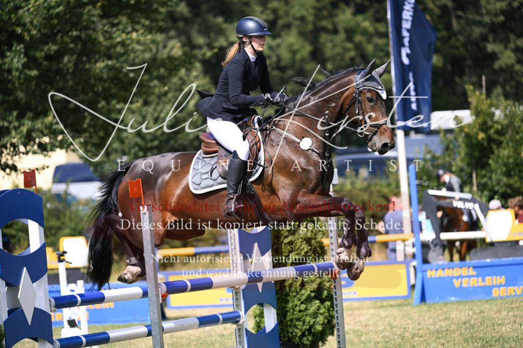 DSC_0530 | Pferde- und Turnierfotografie in Westsachsen. Pferdeportraits, Auftragszeichnungen und intuitive Kunst.