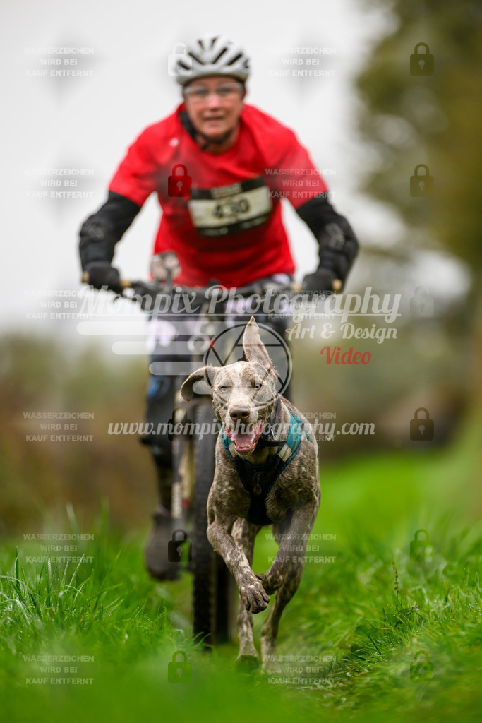 MompixPhotography_20TSB_E8_Bike-145 | PayLife