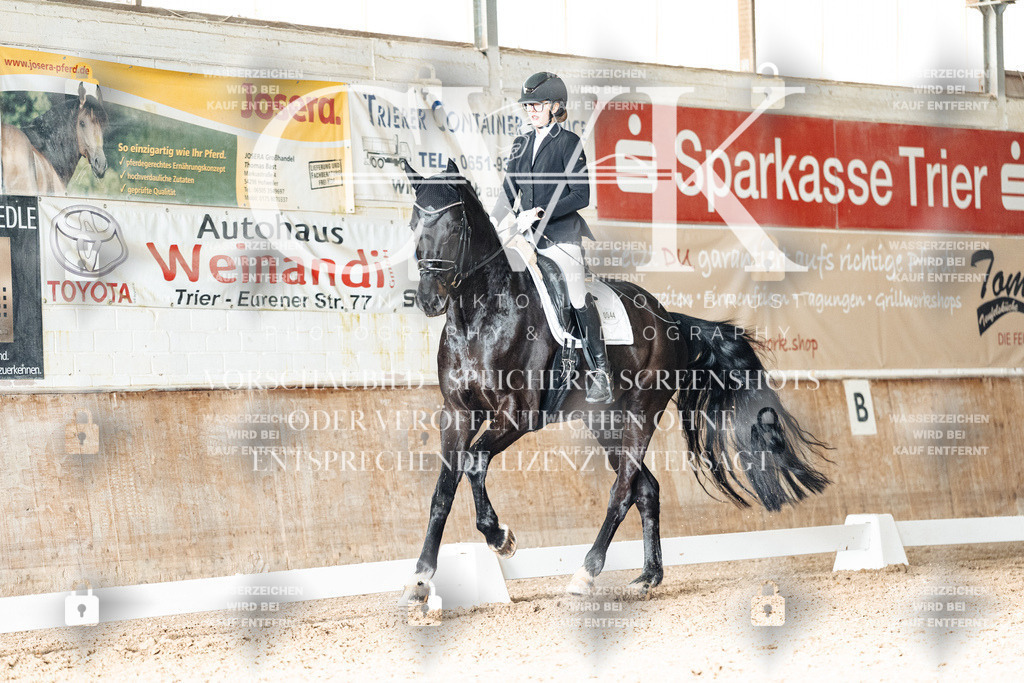 CK902527 | Turnierfotografie Pferdefotografie Trier Rheinland-Pfalz Pferdesport Reitsport Tierfotografie Sportfotografie Pferdevideo Pferdevideografie Equestrianvideography equestrianphotography  - Realisiert mit Pictrs.com