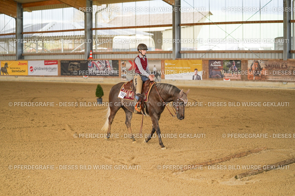 DSC05699 | Pferdegrafie