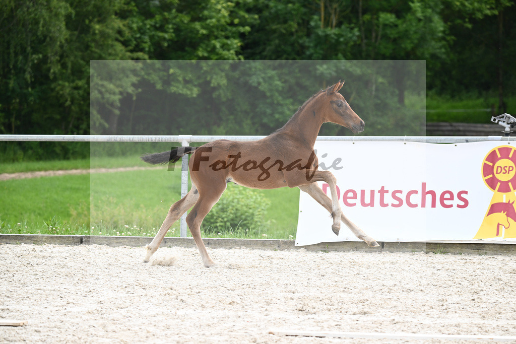 V-Power x Donier_SF_Reutalmuehle_20240625 | hf-fotografie - Realisiert mit Pictrs.com