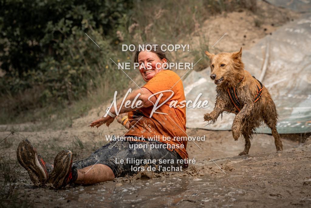 nelerasche_sa1345-1430_199 | nelerasche