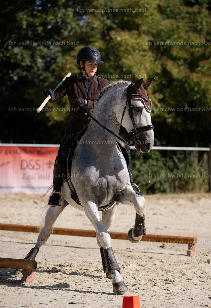 WM_ST_143_stoibphotography__SO10242 | working equitationturnier fotograf videograf stoibphotography marixx film working equitation deutschland reitsport turnierfotografie eventfotografie equestrian events