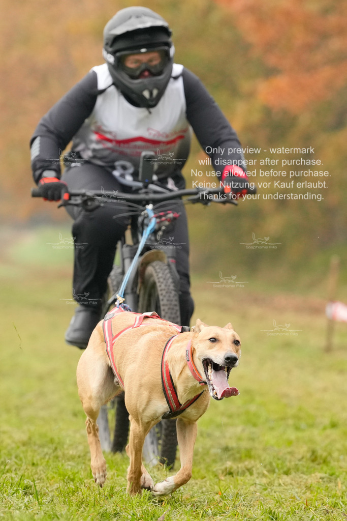 AusschnitteSa-147 | stephaniefillaphotographie - Realisiert mit Pictrs.com