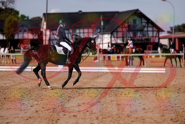 2026_10_03_Siefer-Hof_115615_Z81_96541796 | Professionelle Reitsport-, Turnier- und Eventfotografie von Robert Broda. Galerien mit ausgewählten und bearbeiteten Bildern direkt online ansehen und bestellen.