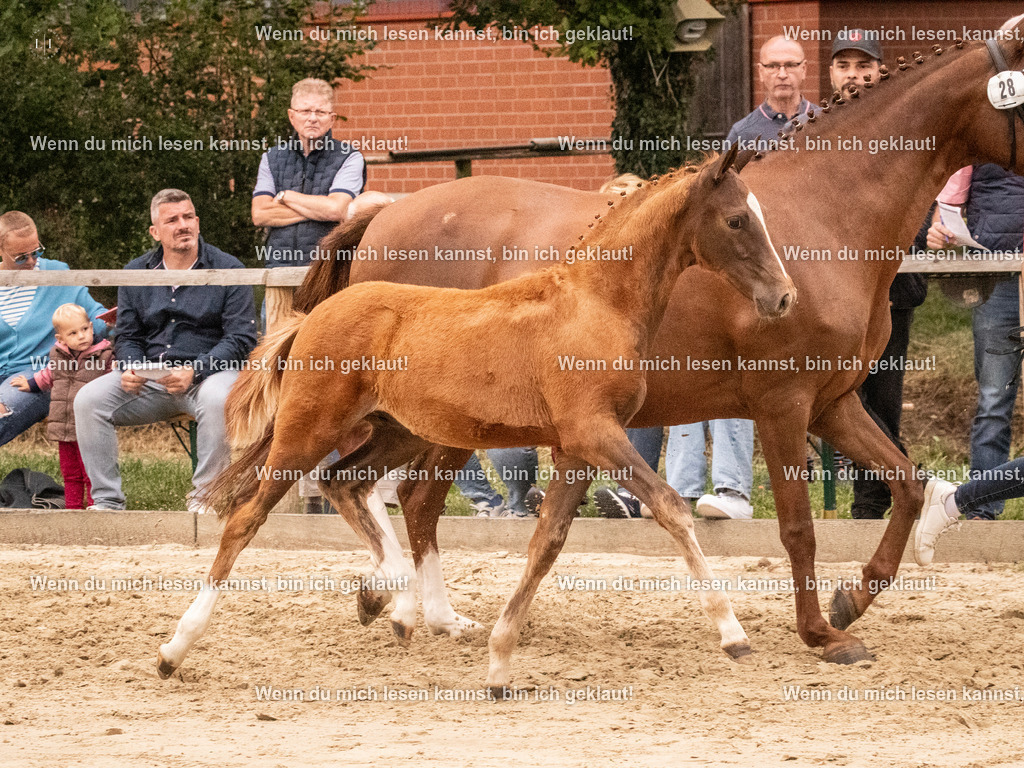 A10I2171 15.54.45 | photographylinaismer - Realisiert mit Pictrs.com