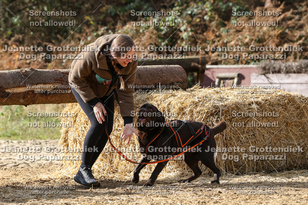 Dog Paparazzi - Strongdog 10-25-5693 | Dog Paparazzi Jeanette Grottendiek Fotografie & Videografie - Realisiert mit Pictrs.com