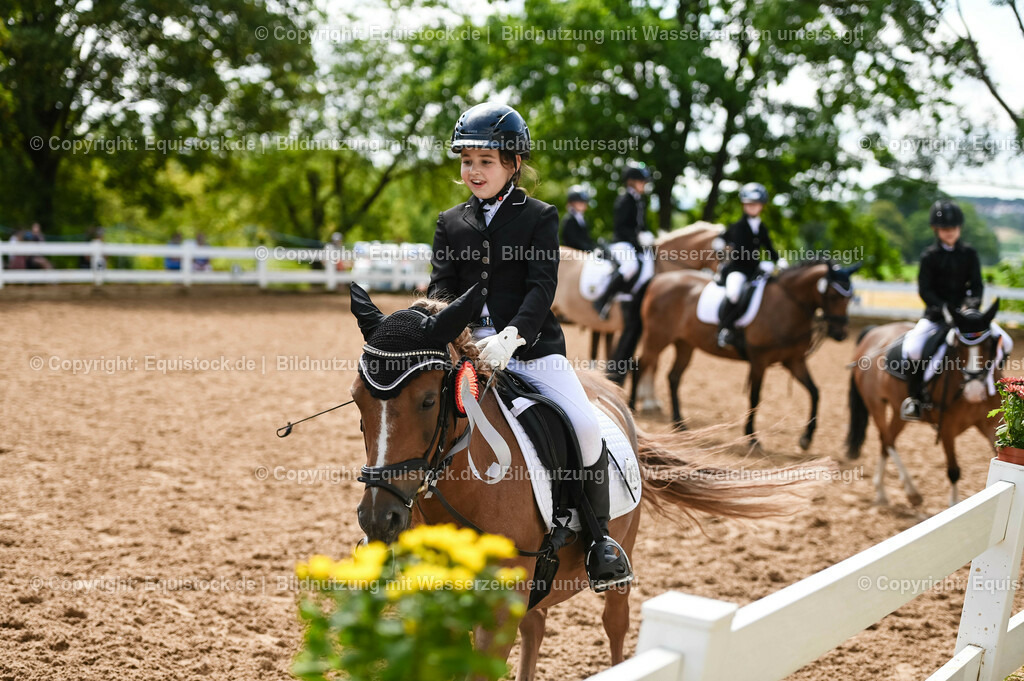 20230716_10-3_Reiter-WB Schritt - Trab - Galopp_0245 | equistock