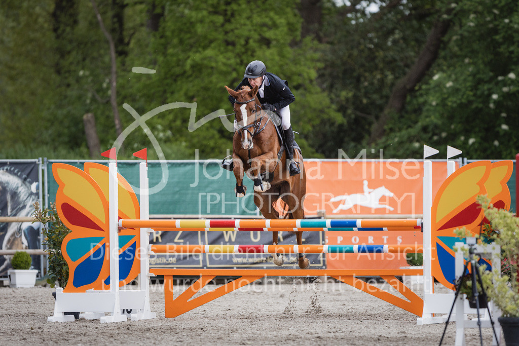 230516_Mühlen_05SprPf-L-580 | Deine schönsten Turniermomente als professionelle Fotos! Entdecke hochwertige Pferdesport-Fotografie im Online-Shop. Jetzt Fotos finden & bestellen!