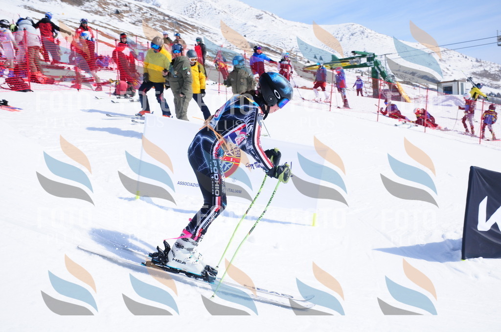 DSC_5321 | holidayphoto