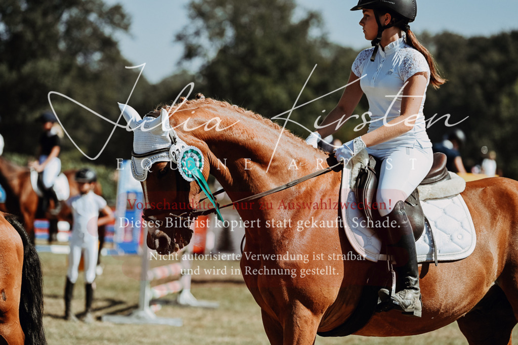 DSC_0136 | Pferde- und Turnierfotografie in Westsachsen. Pferdeportraits, Auftragszeichnungen und intuitive Kunst.