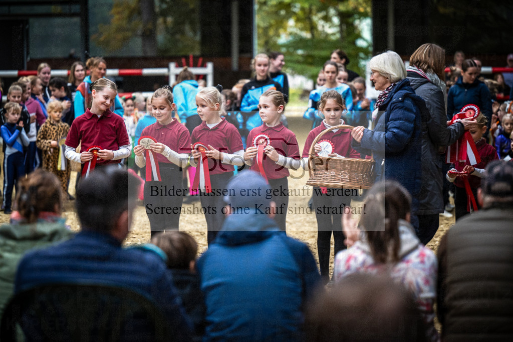 DOS_0254 | Entdecke hochwertige Reitturnierfotos von Foto Oger. Professionell, emotional und authentisch – jetzt Lieblingsmomente im Shop bestellen.Deutschlandweite Turnierfotografie. - Realisiert mit Pictrs.com