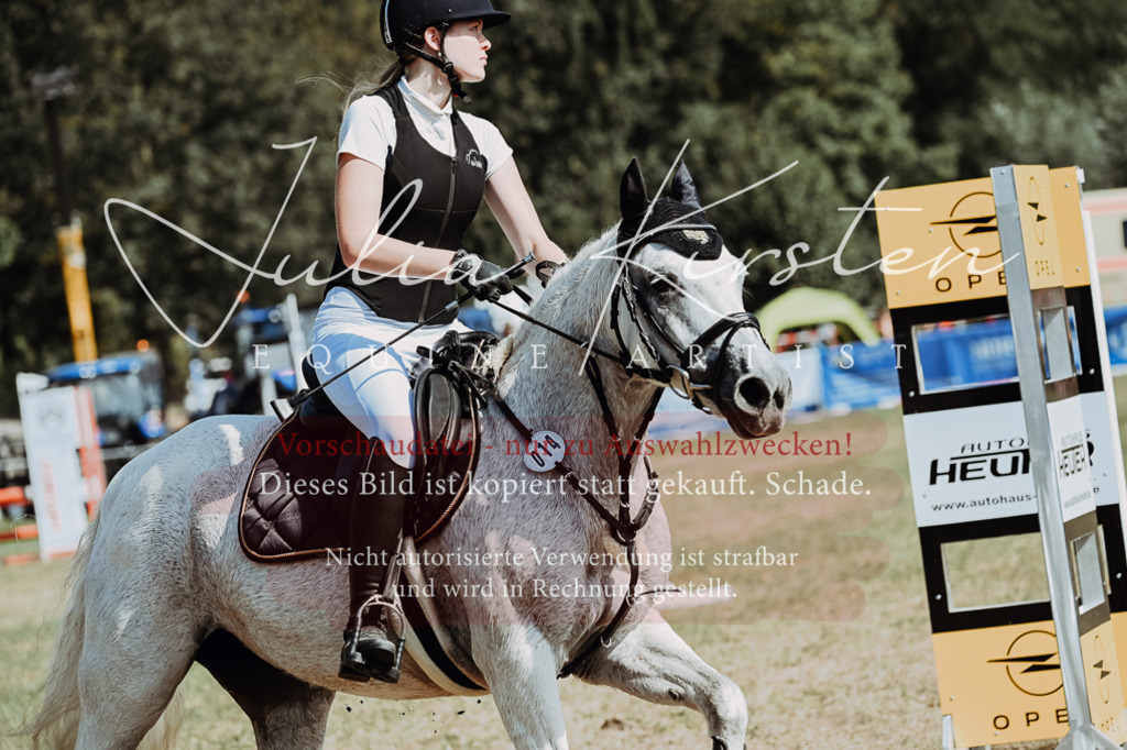 DSC_9440 | Pferde- und Turnierfotografie in Westsachsen. Pferdeportraits, Auftragszeichnungen und intuitive Kunst.