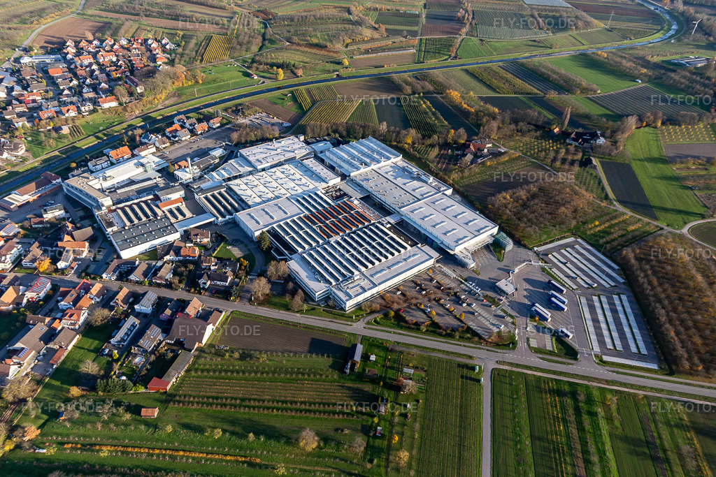 Luftbild: Firmengelände der Progress-Werk Oberkirch AG mit Hallen, Firmengebäuden und Produktionsstätten in Stadelhofen im Ortsteil Stadelhofen in Oberkirch im Bundesland Baden-Württemberg in Deutschland. Foto: IMG_119926.jpg vom 30.11.2019 durch Werner Riehm/FLY-FOTO.de