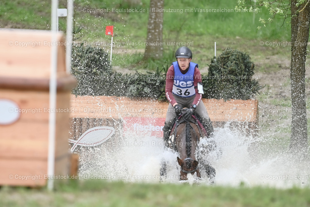 20230513_CCI4_Gelände_0433 | equistock