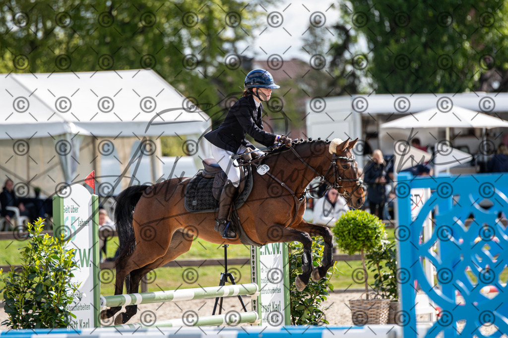 KPT_4858 | andre_photographic