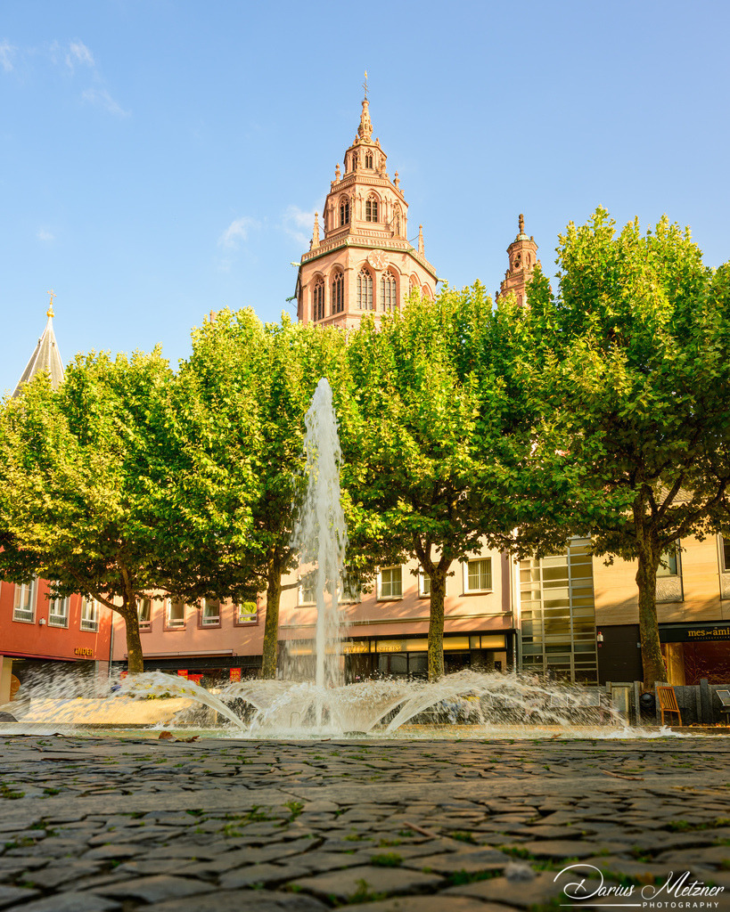 Der Mainzer Dom St Martin | Der hohe Dom St Martin zu Mainz