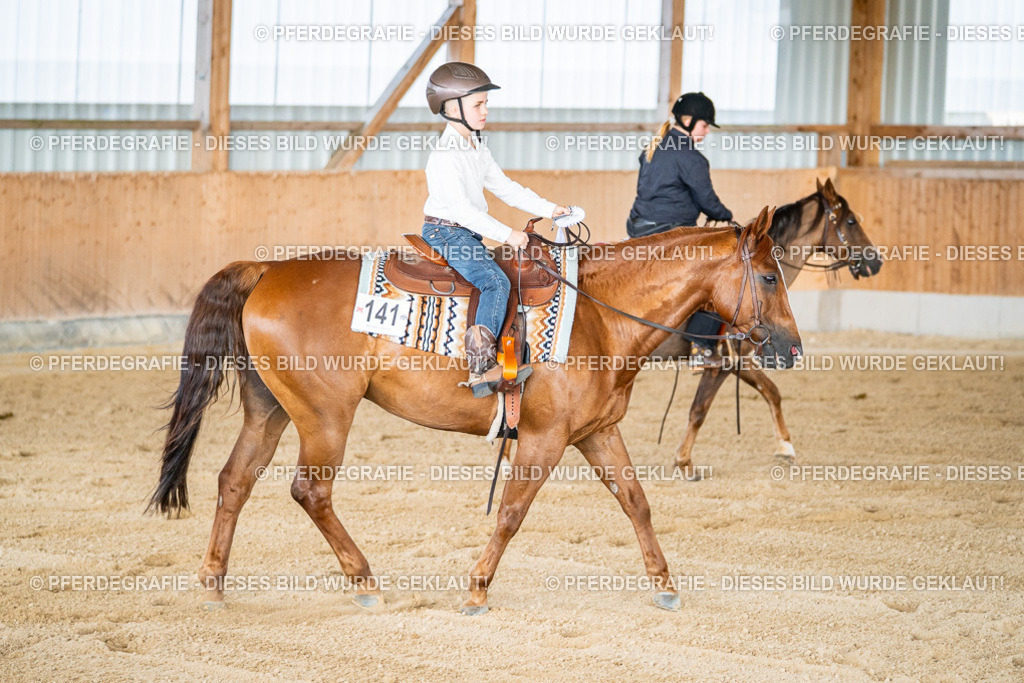 DSC08754 | Pferdegrafie