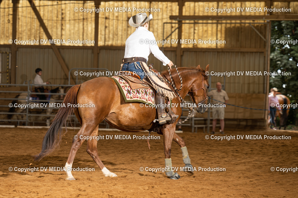 NID01502 | dv-media-shop - Realisiert mit Pictrs.com