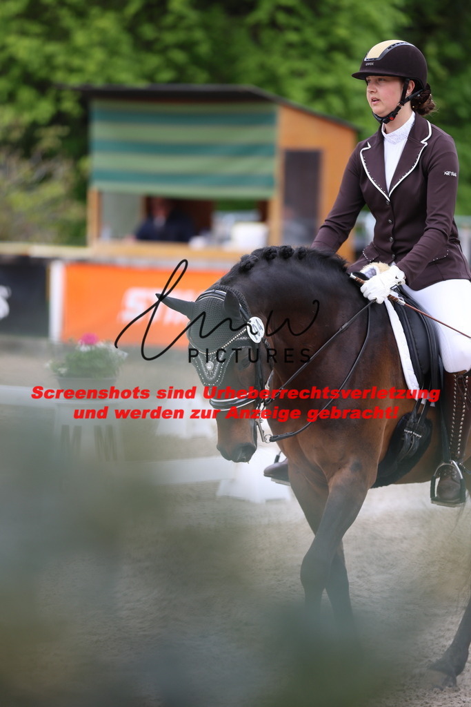 A40A9913 | lmwpictures - Realisiert mit Pictrs.com