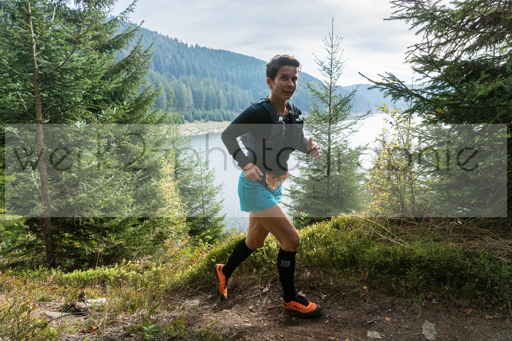 Herbstlauf | Neuhaus/Rwg. - Masserberg am 3. Oktober 2020