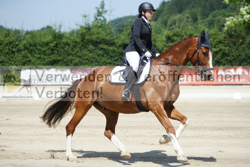 DSC04765 | equestrian-live-com
