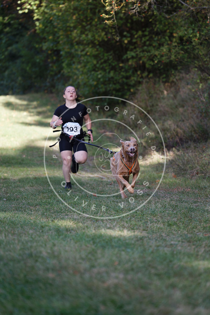 0L8A5425 | Hundefotografie, Tierfotograf, Pfotenfotografie, Fotoshooting Hund, Hunde Portrait, Hundesport, Hundeportraits, Heideshooting, Hunde, Sportfotograf, Hundefotograf, Turnierhundsport, THS,  - Realisiert mit Pictrs.com