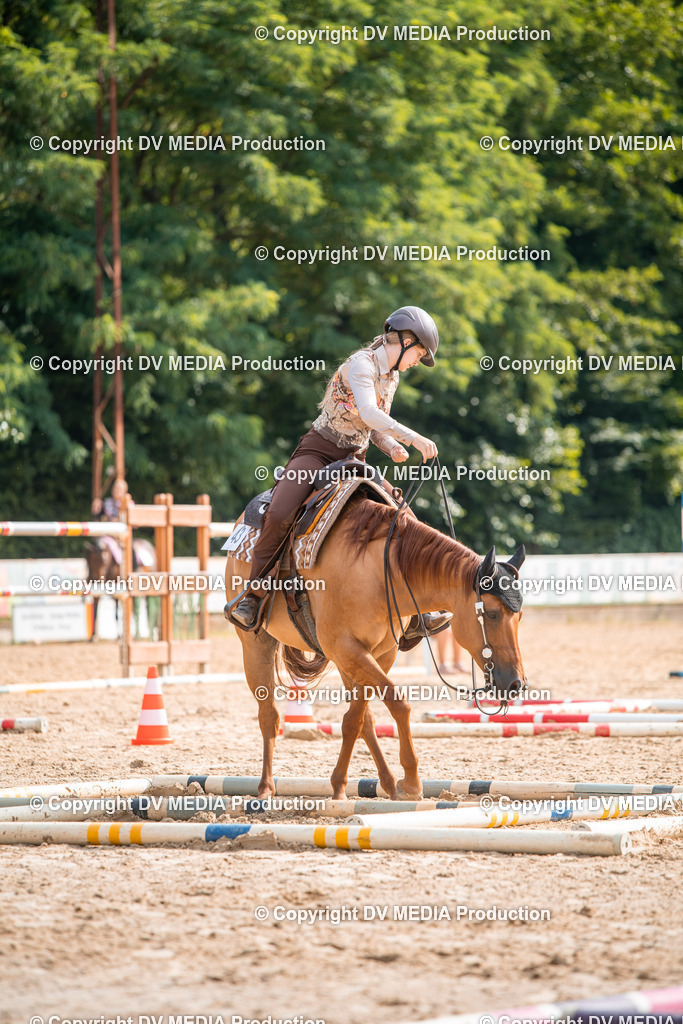 ZS2_7542 | dv-media-shop - Realisiert mit Pictrs.com