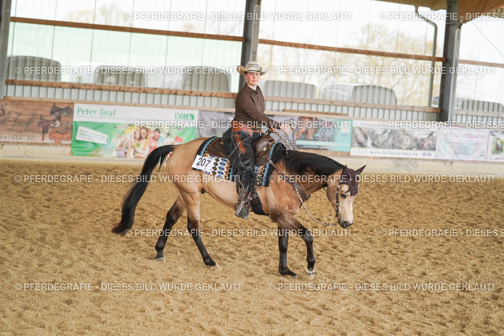 DSC00168 | Pferdegrafie