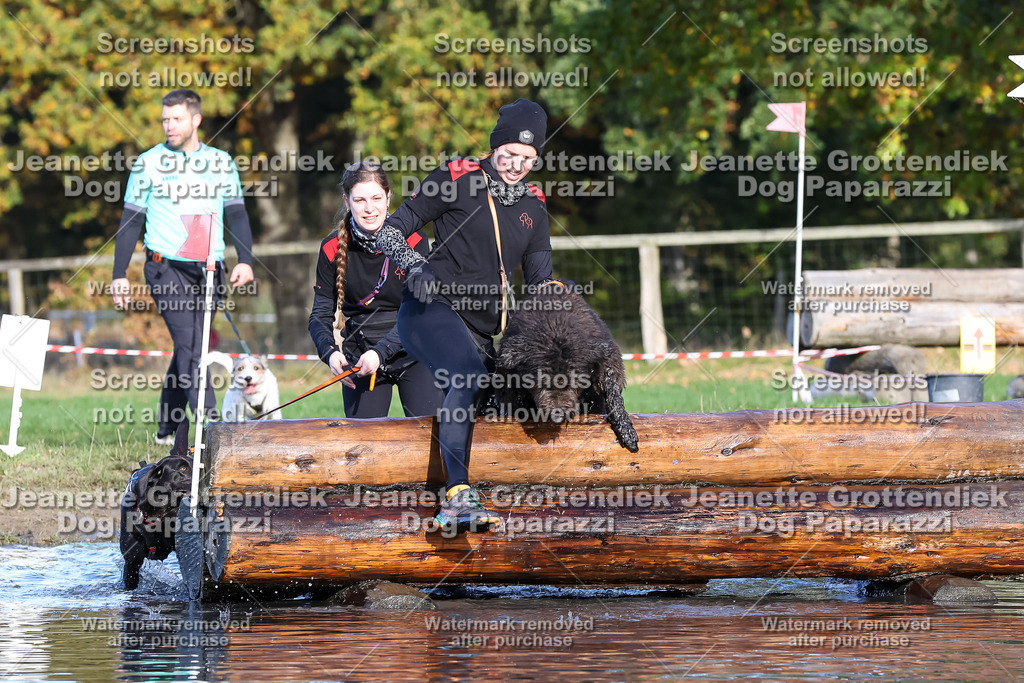 Dog Paparazzi - Strongdog 10-25-8617 | Dog Paparazzi Jeanette Grottendiek Fotografie & Videografie - Realisiert mit Pictrs.com