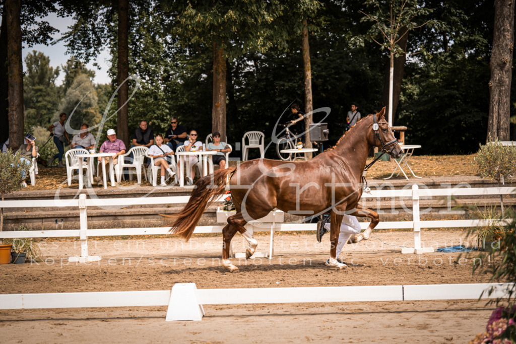 3.Fr00088 | Leoni Ertmer Photography - Realisiert mit Pictrs.com