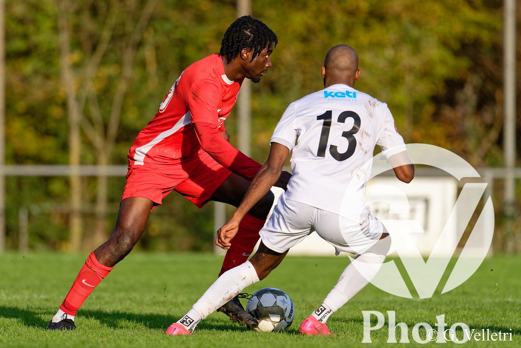 DZ9_1502_M | Velletri Photo